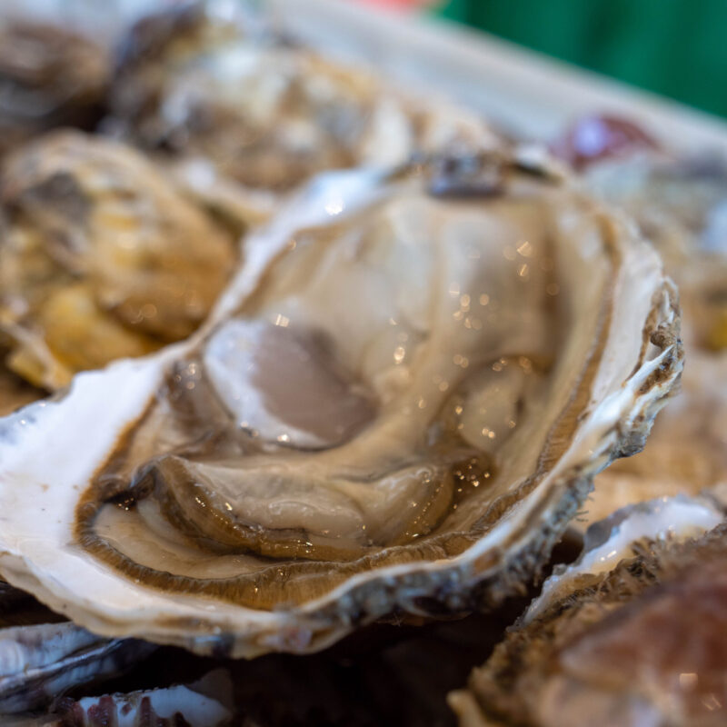 Ostra rizada (Crassostrea gigas)