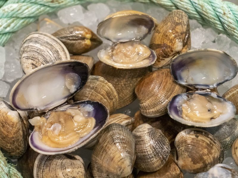 comprar-almejas-en-conil (3)